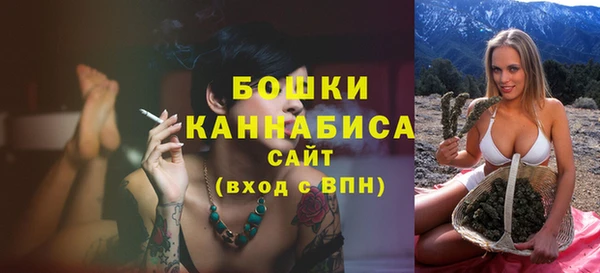 твердый Дмитриев