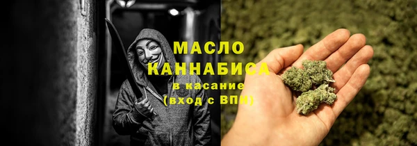 твердый Дмитриев