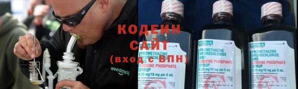 сатива Дмитровск