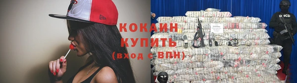 сатива Дмитровск