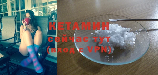 сатива Дмитровск