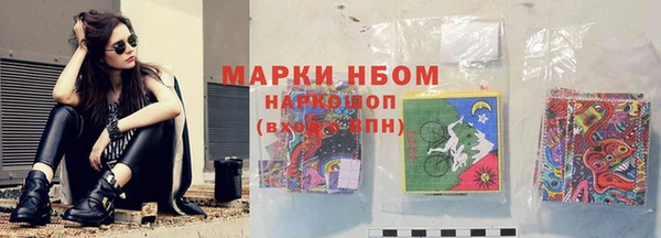 сатива Дмитровск