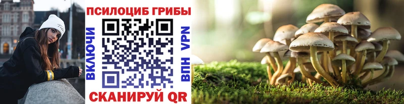 Галлюциногенные грибы прущие грибы  Купить закладки  Ставрополь 