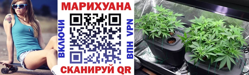 Конопля Amnesia  Купить  Ставрополь 